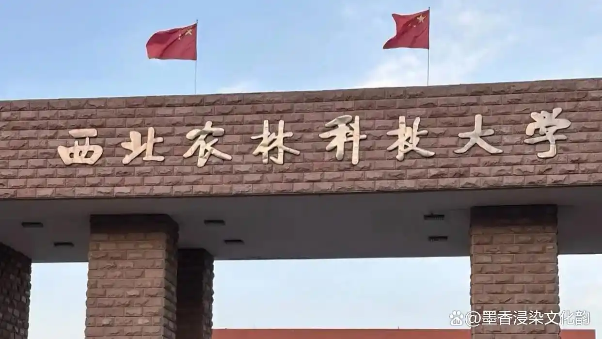 211工程大学_西北农林科技大学985工程大学_西北农林科技大学
