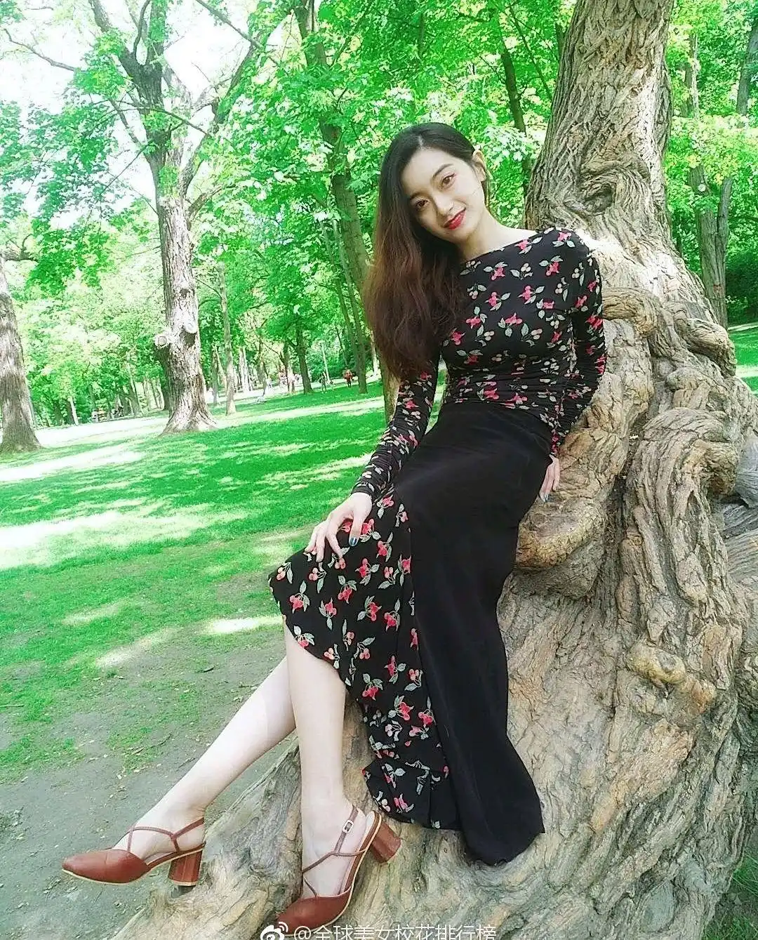 北京外国语大学2025年录取情况_北京外国语大学新生性别比例_北京外国语大学学生