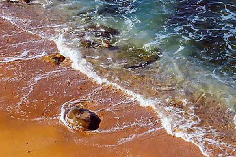 五四文学革命代表人物观点_中国现代文学史自考重点_自考中国现代文学作品选考试大纲