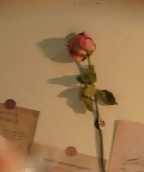 番茄钟日程管理_日程管理技巧分享_时间管理软件推荐