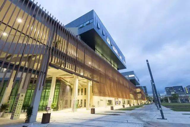 香港中文大学(深圳)国际师资_港中文深圳_香港中文大学(深圳)学科建设