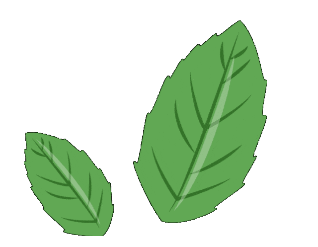 大气污染防治法_生态环境保护法_<a href="https://huanjingfa.cn">环境法</a>基本制度