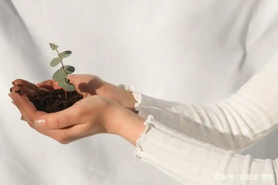 疫情失业夫妻危机_如何帮助老公走出失败阴影_男友创业失败怎么办