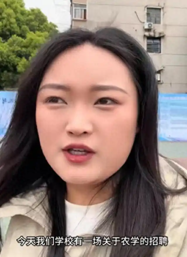 本科生求职困境_高学历就业难_创业失败找工作好难