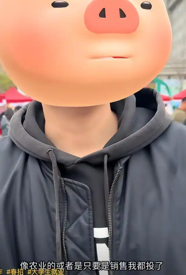 创业失败找工作好难_本科生求职困境_高学历就业难