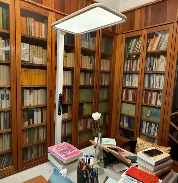 大路灯选购标准_大路灯怎么使用_大路灯护眼效果