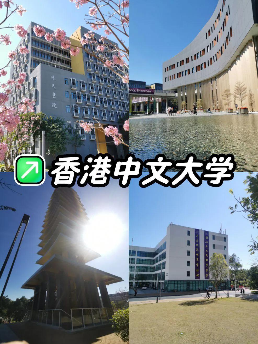 香港中文大学深圳校区_香港中文大学深圳校区_香港中文大学沙田校区