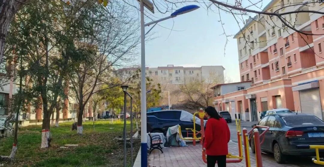 路灯改造_党建引领基层治理_大路灯安装