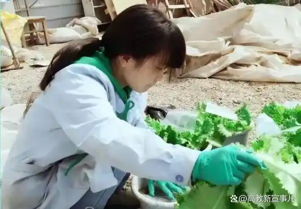 西北农林科技大学_环境科学环境工程专业就业前景_西北农林科技大学环境科学与工程专业