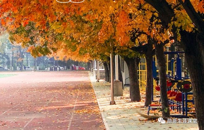 北京外国语大学语言专业_报考语言类大学_北京外国语大学毕业