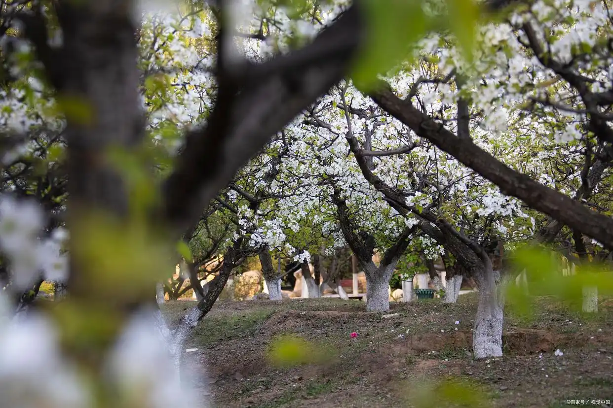 报考农林类大学_西北农林科技大学_中国农业大学与西北农林科技大学对比