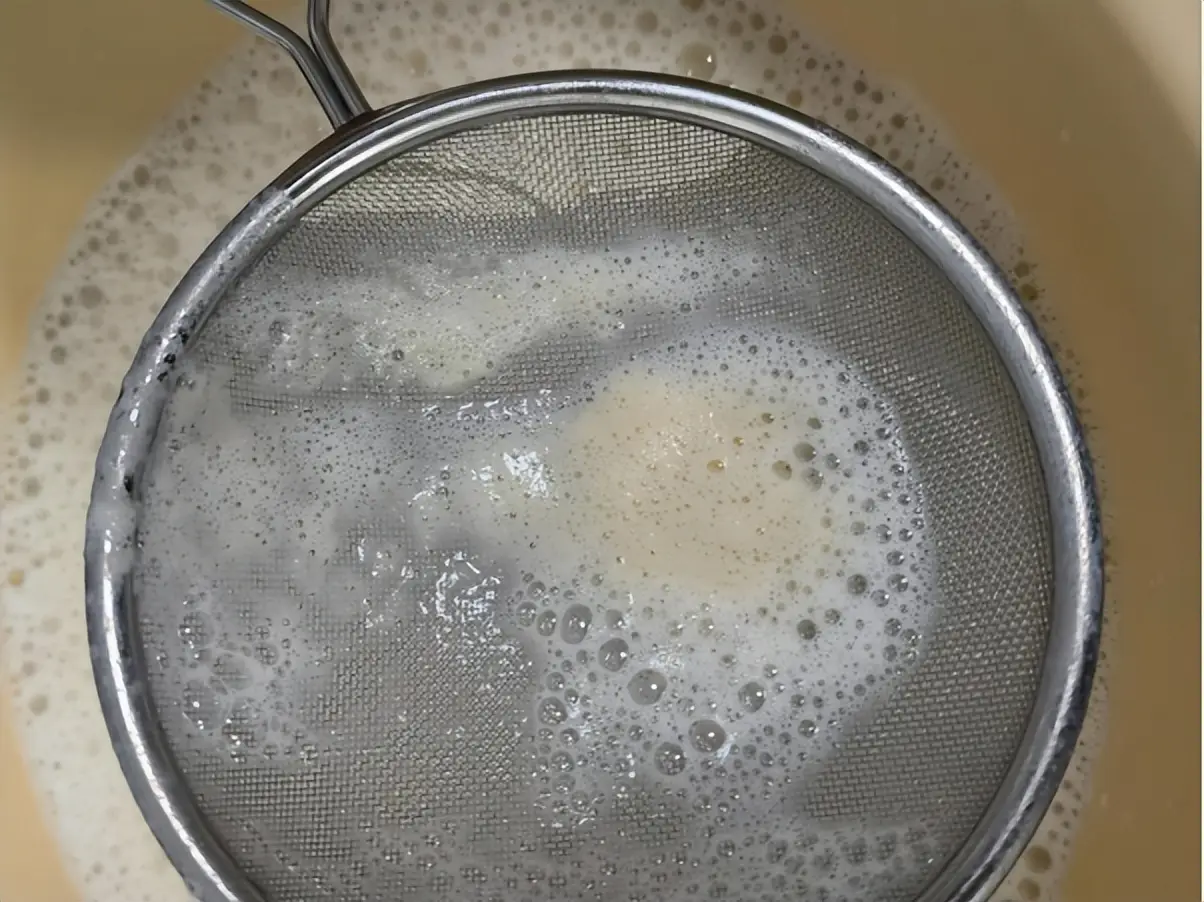 jese破壁机_破壁机选购指南_破壁机推荐2025