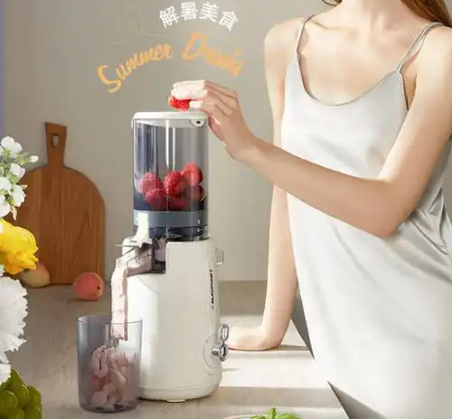 十大公认最好的家用破壁机_韩国现代破壁机_破壁机哪个牌子好