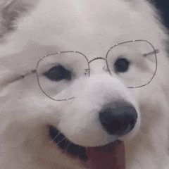 大路灯是否真的能防近视_大路灯介绍_大路灯是什么灯