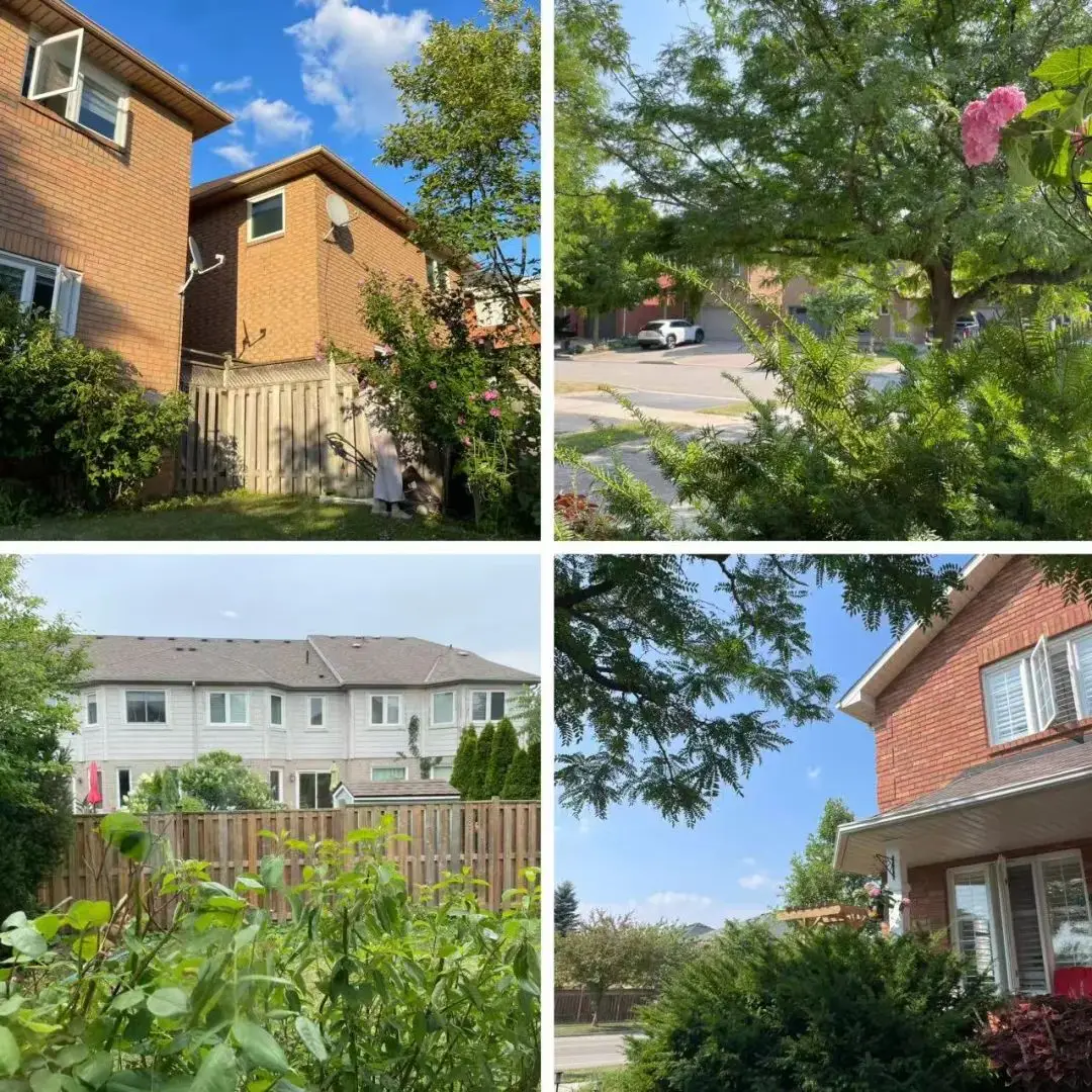 百孜大路灯评测_大路灯推荐_大路灯主流型号