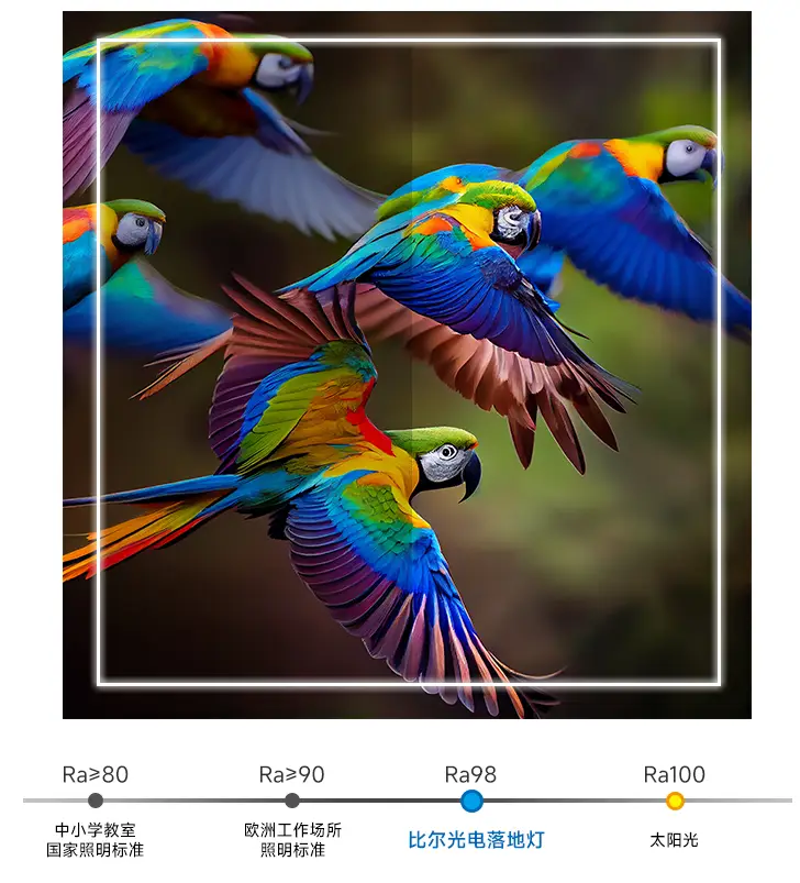 大路灯推荐_百孜大路灯评测_大路灯主流型号