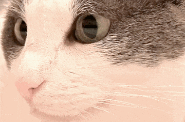 大路灯使用_大路灯选购指南_护眼大路灯推荐