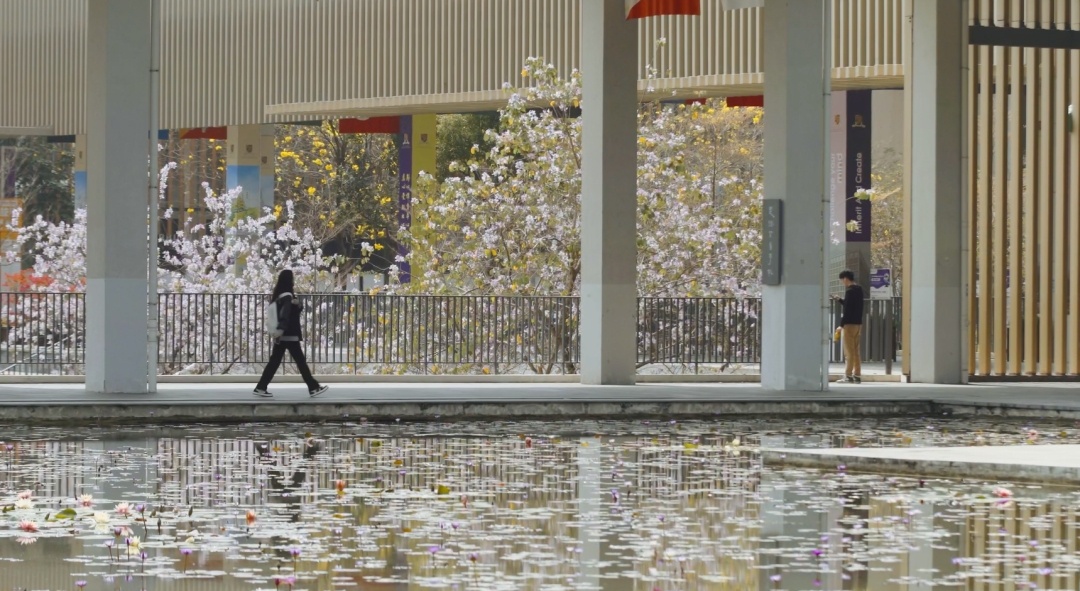 香港中文大学（深圳）_香港中文大学（深圳）2023年广东省综合评价招生专业_香港中文大学（深圳）2023年广东省综合评价招生简章