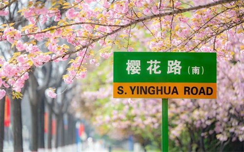 西北农林科技大学985 211大学_西农世界一流学科_西北农林科技大学