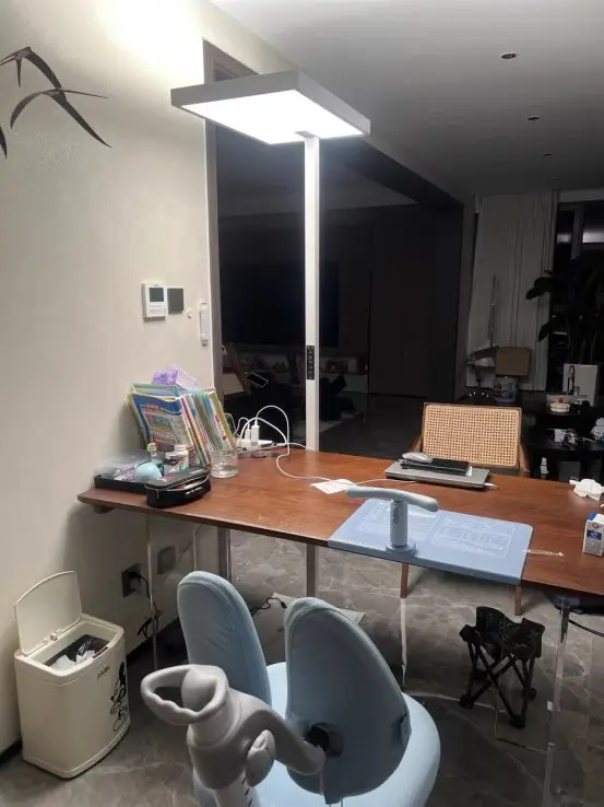 大路灯评测_护眼大路灯测评_大路灯选购指南