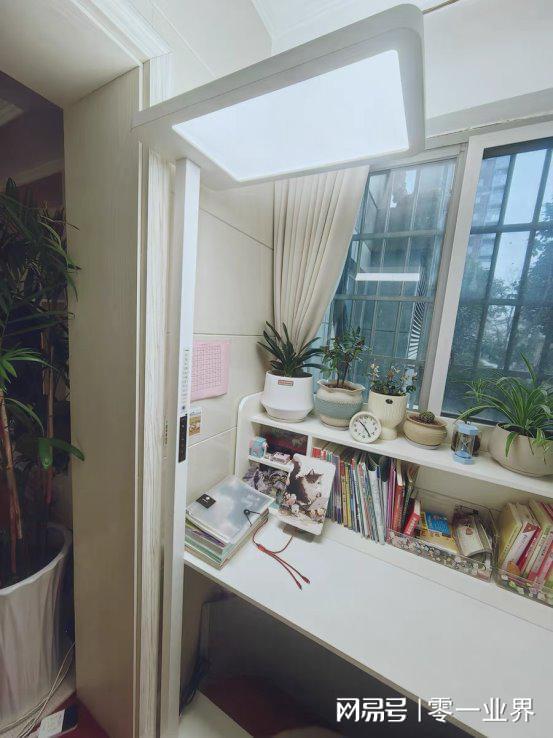 大路灯类型_大路灯选购指南_护眼大路灯测评