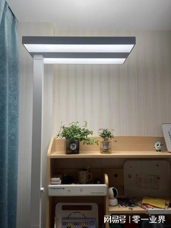 大路灯选购指南_护眼大路灯测评_大路灯类型