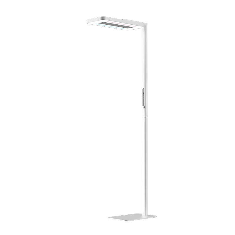 大路灯类型_高颜值大路灯_全光谱护眼大路灯