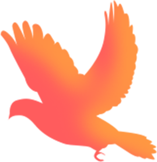 中国人民大学校友故事征集_物件资料捐赠_中国人民大学校友