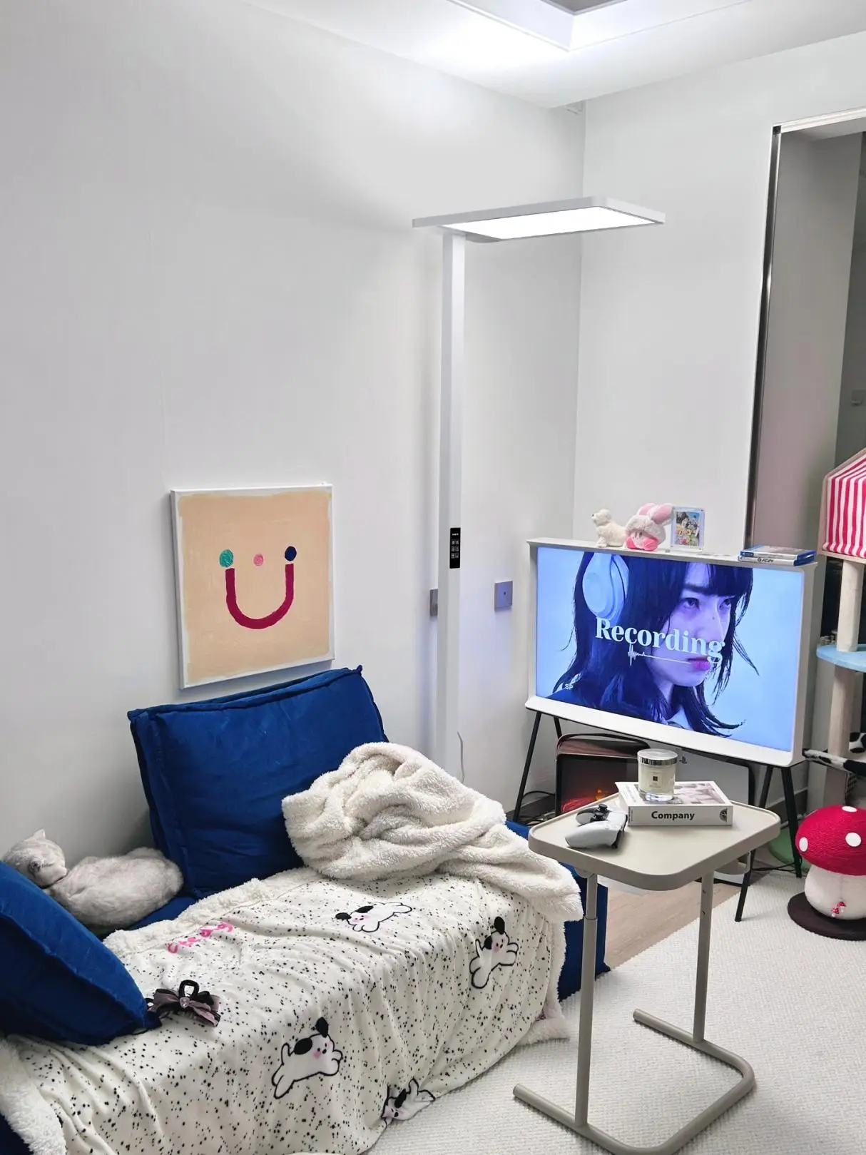 护眼大路灯推荐_大路灯选购指南_大路灯使用