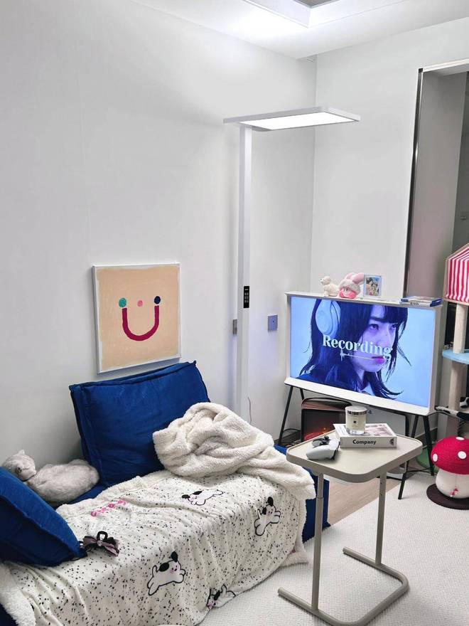 大路灯选购指南_十大知名品牌推荐_大路灯型号