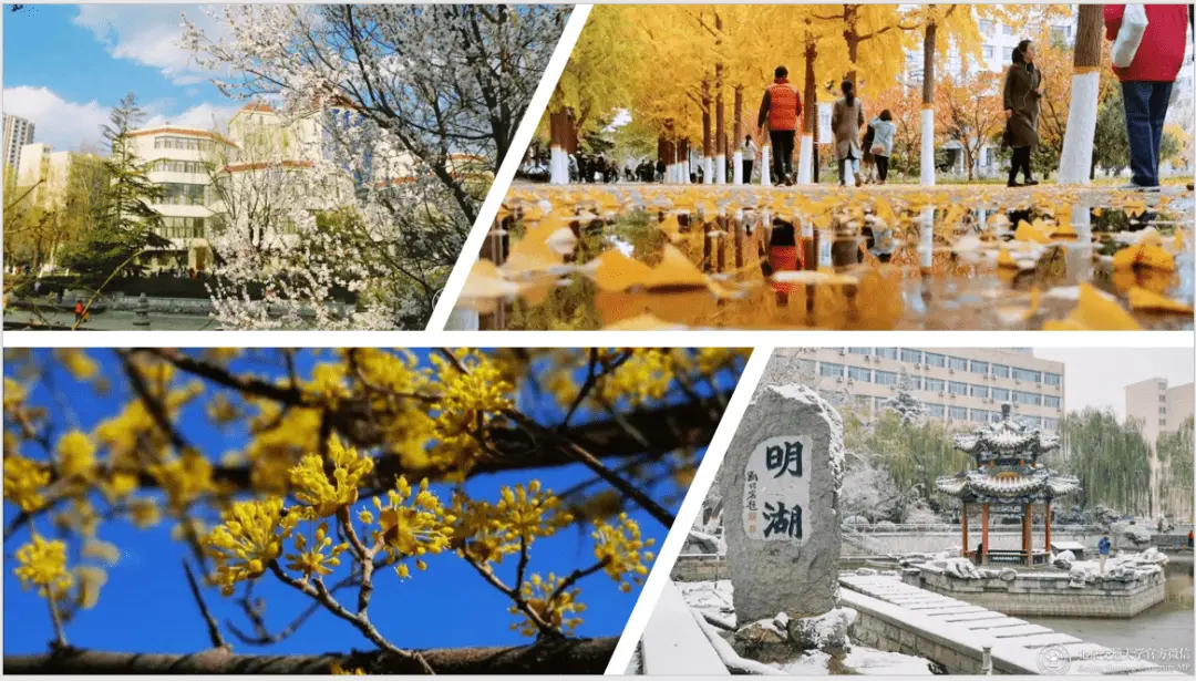 大学毕业生就业率_211高校就业优势_北京交通大学毕业