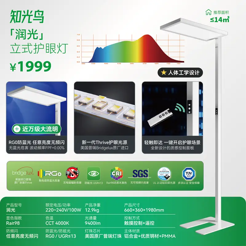 大路灯体验_大路灯 4999元 上下双光源护眼灯