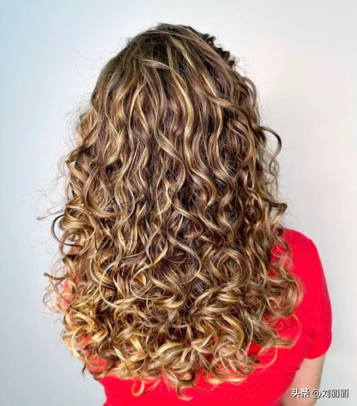 羊毛卷发型_染烫结合羊毛卷_推荐好用的卷发棒