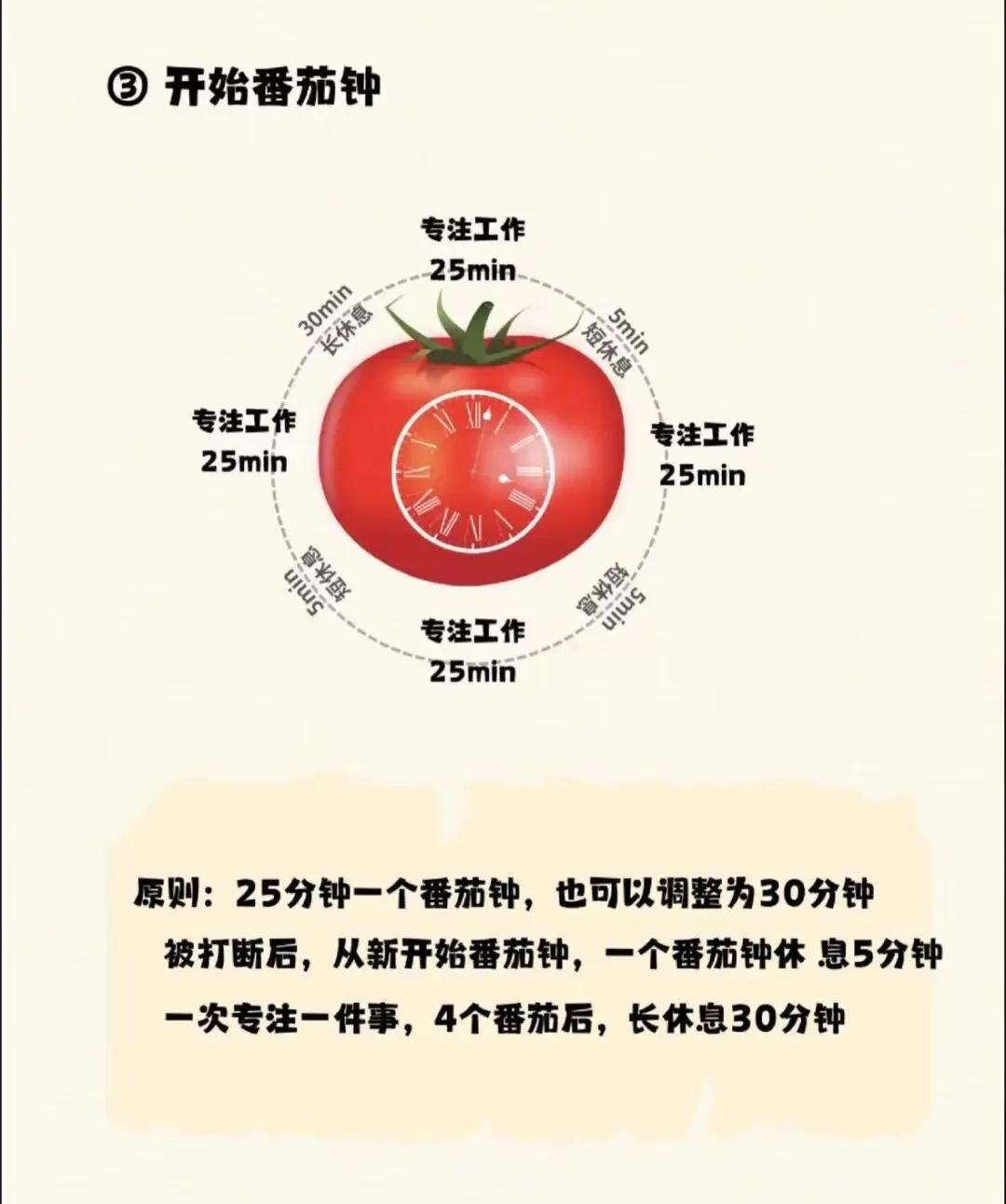 初中生番茄钟学习法_提高学习效率番茄钟_番茄钟网页版