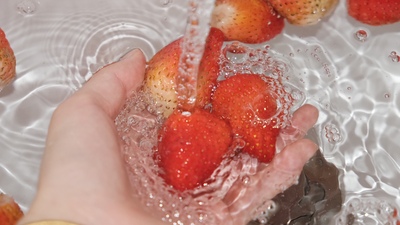 台湾破壁机品牌_台湾凤梨牌破壁机评测_台湾凤梨牌破壁机怎么样