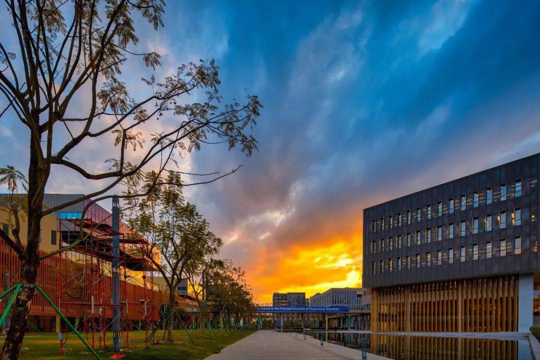 港中大深圳_港中大（深圳）历险记_港中大（深圳）新生报到