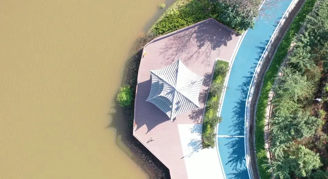 香港中文大学深圳校区怎么样_港中深本科值不值得去_深圳香港中文大学