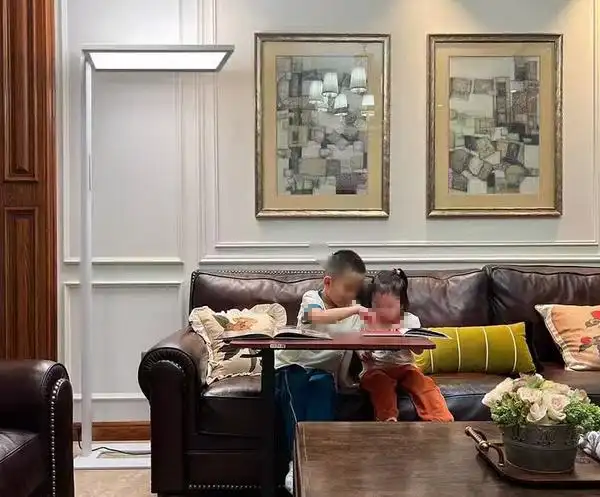 大路灯防控近视效果_大路灯使用_大路灯选购标准