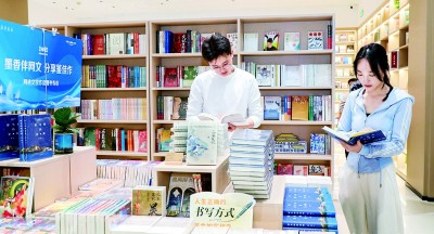 网络文学新的文学性标准探索_比较文学与比较文化十讲_网络文学经典化可能性