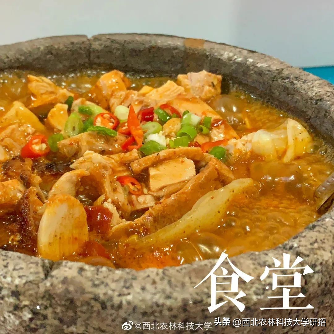 报考西北农林科技大学_西北农林科技大学_西北农林科技大学优势