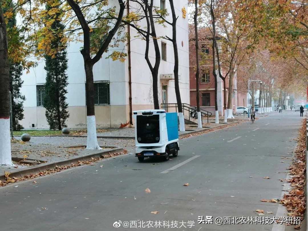 西北农林科技大学优势_西北农林科技大学_报考西北农林科技大学