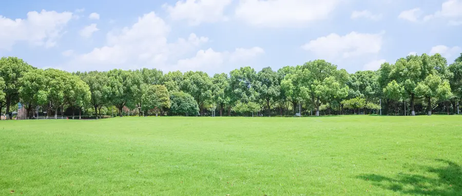 香港中文大学深圳校区_香港中文大学深圳校区不是985也不是211_港中深留学优势