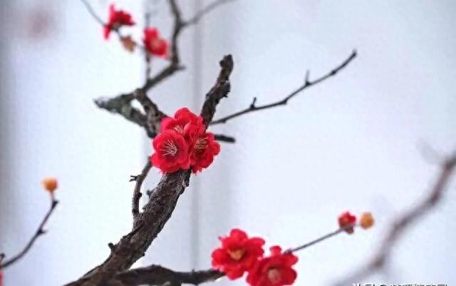 现代汉语词类划分_古代汉语考研笔记_名词动词形容词分类