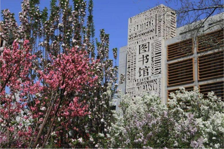 北外优秀校友保送故事_北京外国语大学校友_北京外国语大学保送生招生