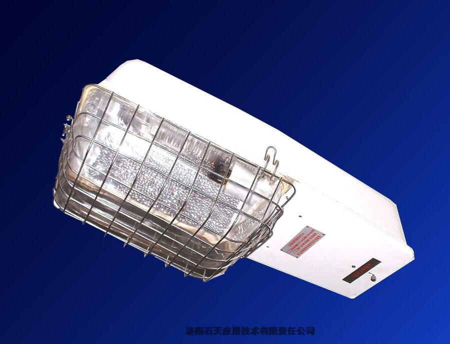 豪华马路灯参数_豪华马路灯结构要点_大路灯型号