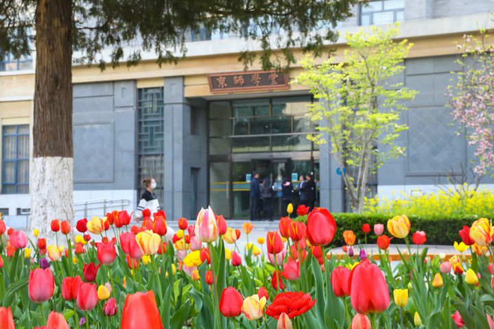 北京师范大学四有老师_北京师范大学毕业_北京师范大学优师计划