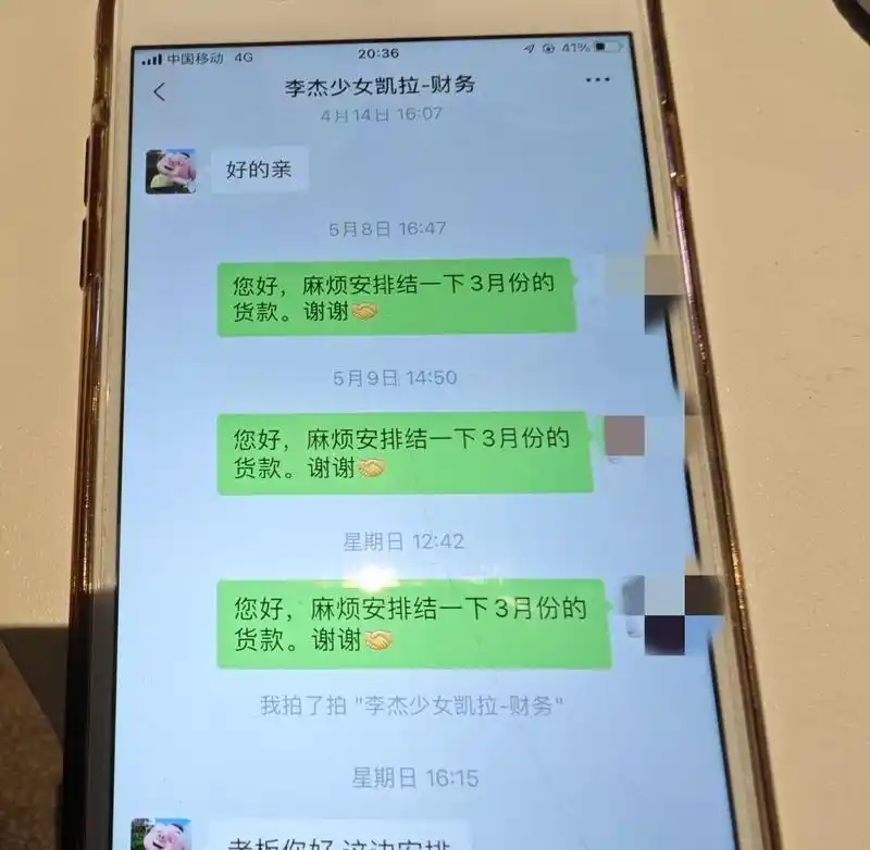 网红店铺流量依赖问题_电商行业低价策略风险_网店创业失败故事