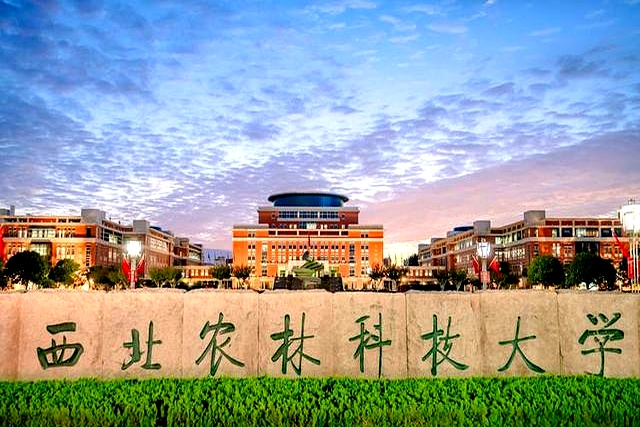 西北农林科技大学_西北农林科技大学南校区_西北农林科技大学北校区