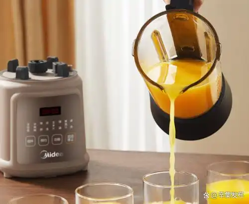 十大安全破壁机推荐_破壁机哪个牌子好_家用破壁机那种最好