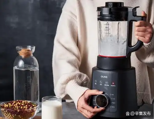 破壁机哪个牌子好_十大安全破壁机推荐_家用破壁机那种最好